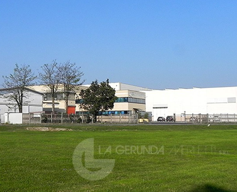 Rey Damiano - Realizzazioni