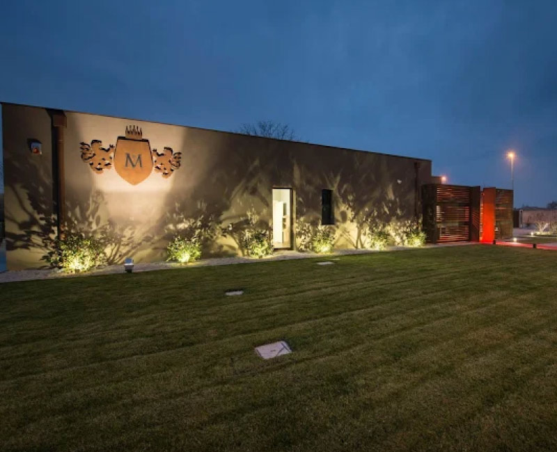 Rey Damiano - Realizzazioni