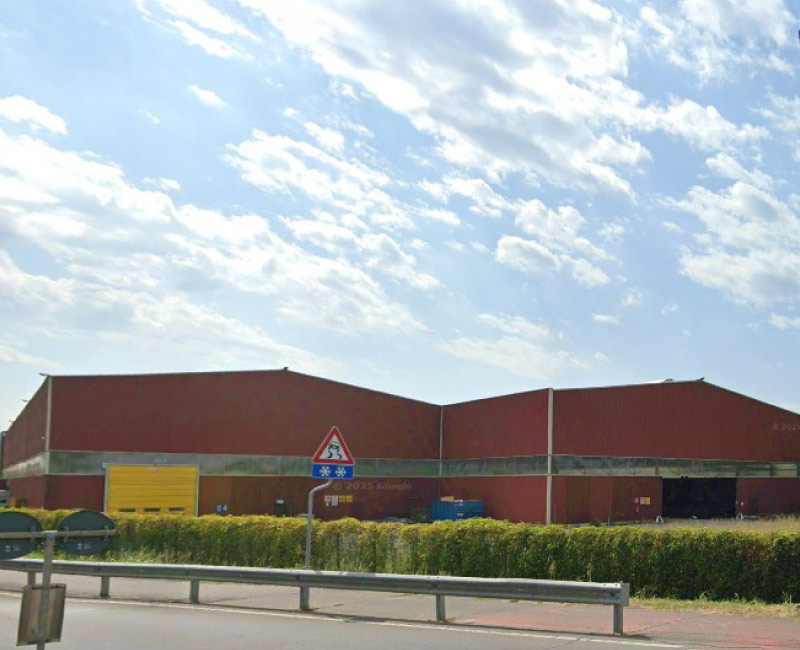 Rey Damiano - Realizzazioni